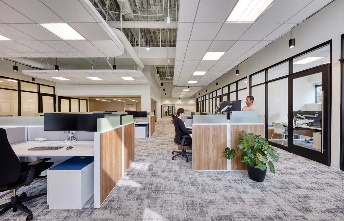 Colliers-25449-1
