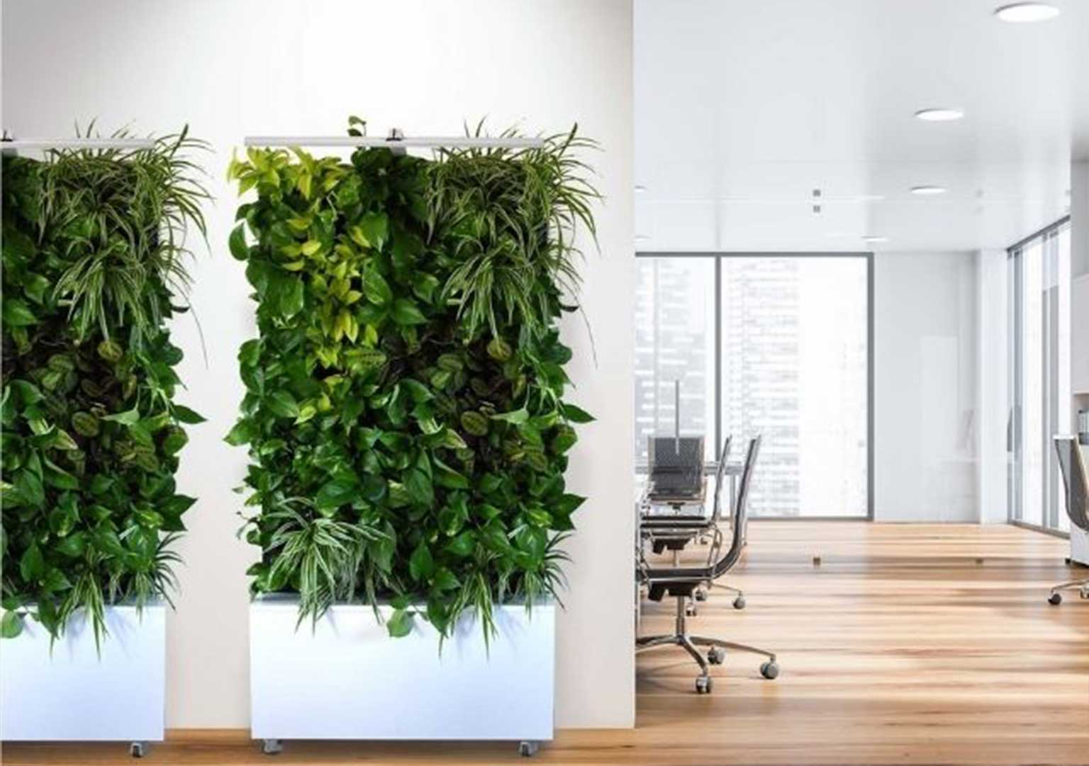 Biophilic Design in the Workplace 